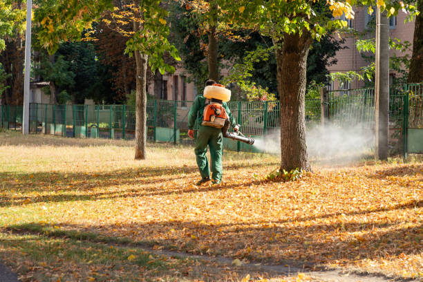 Best Termite Control Services  in Ahuimanu, HI