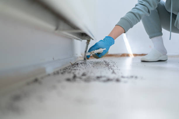 Best Pest Control for Businesses  in Ahuimanu, HI